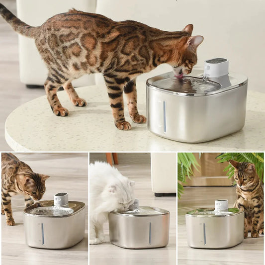 SnugPaw™ Wireless Fountain