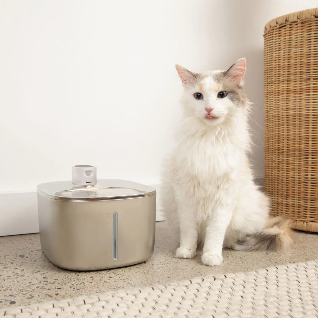 SnugPaw™ Wireless Fountain