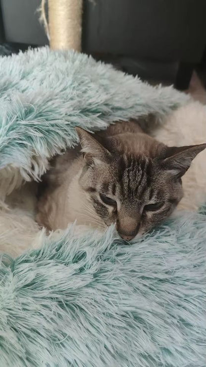 Сozy cocoon - pet bed