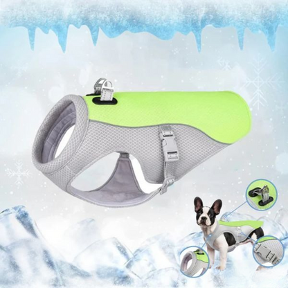 Dog Cooling Vest