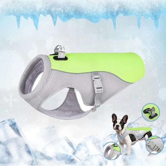 Dog Cooling Vest