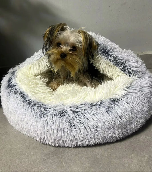 Сozy cocoon - pet bed
