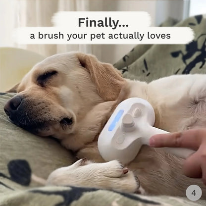 SnugPaw™ Pet Steam Brush with Spray