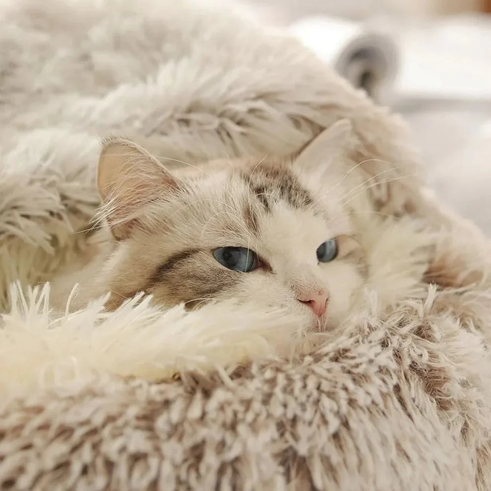 Сozy cocoon - pet bed