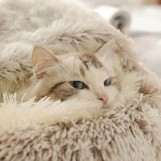 Сozy cocoon - pet bed