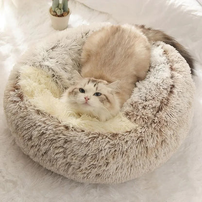 Сozy cocoon - pet bed